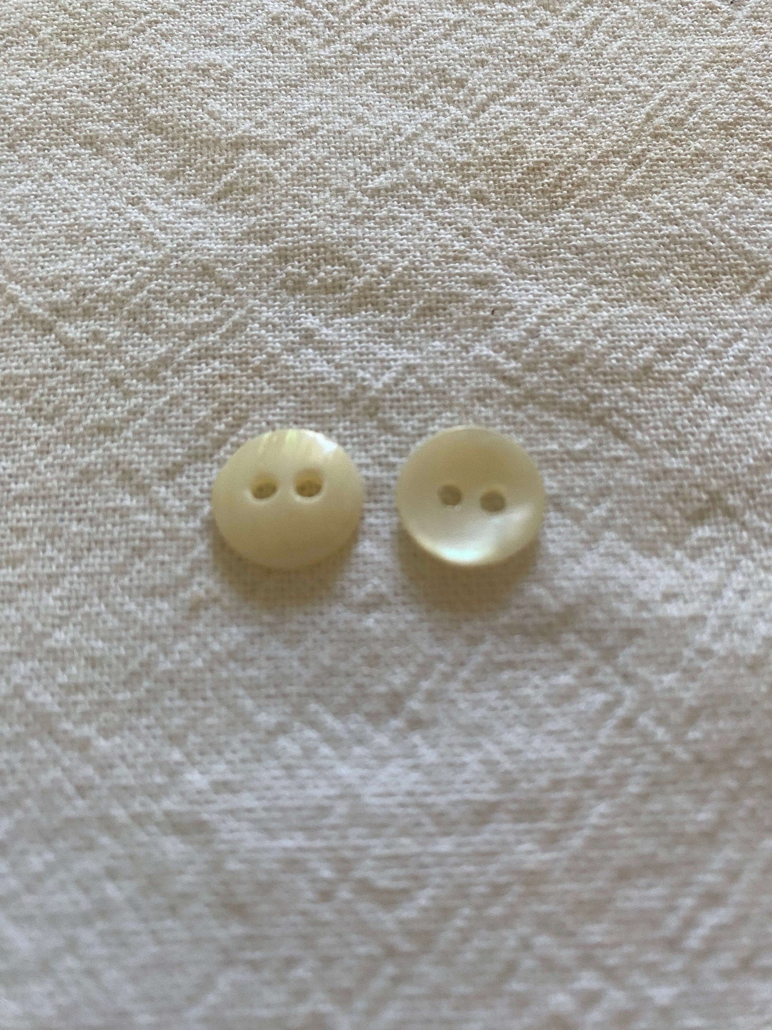 White Shell Button | 2 hole | 12mm | Pack of 10